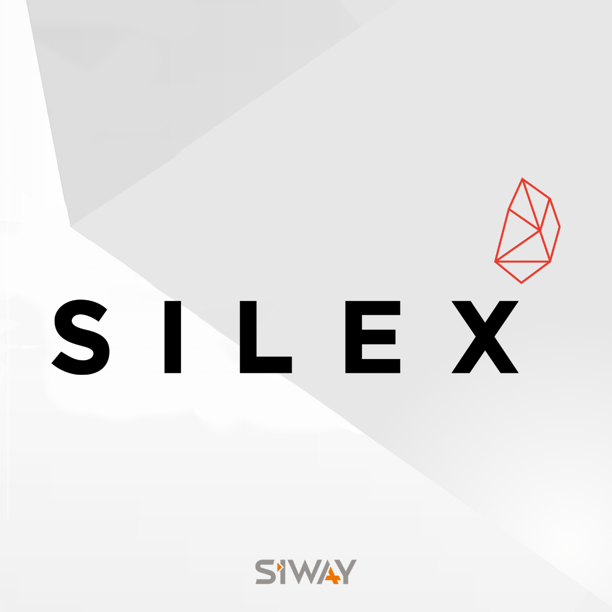 SILEX IM
