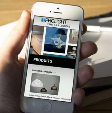 Site web pour Prolight